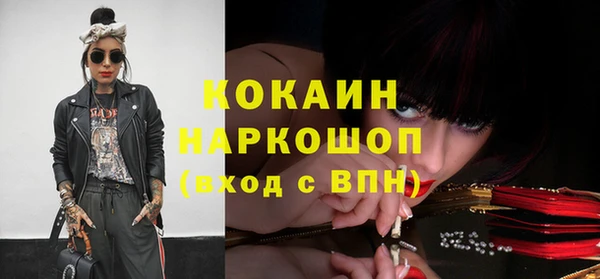 молекула духа Богородицк