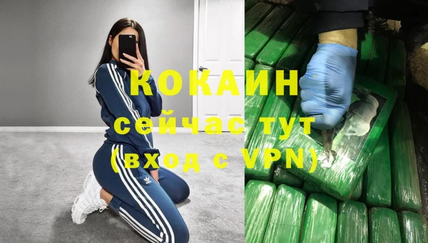 молекула духа Богородицк