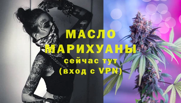 молекула духа Богородицк