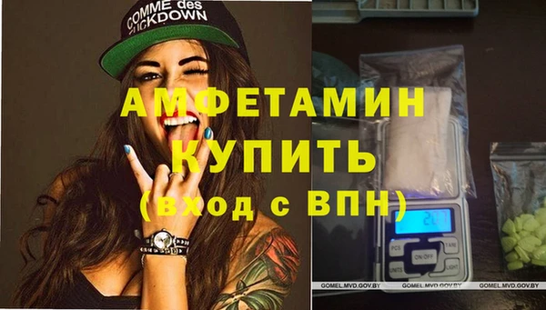 молекула духа Богородицк